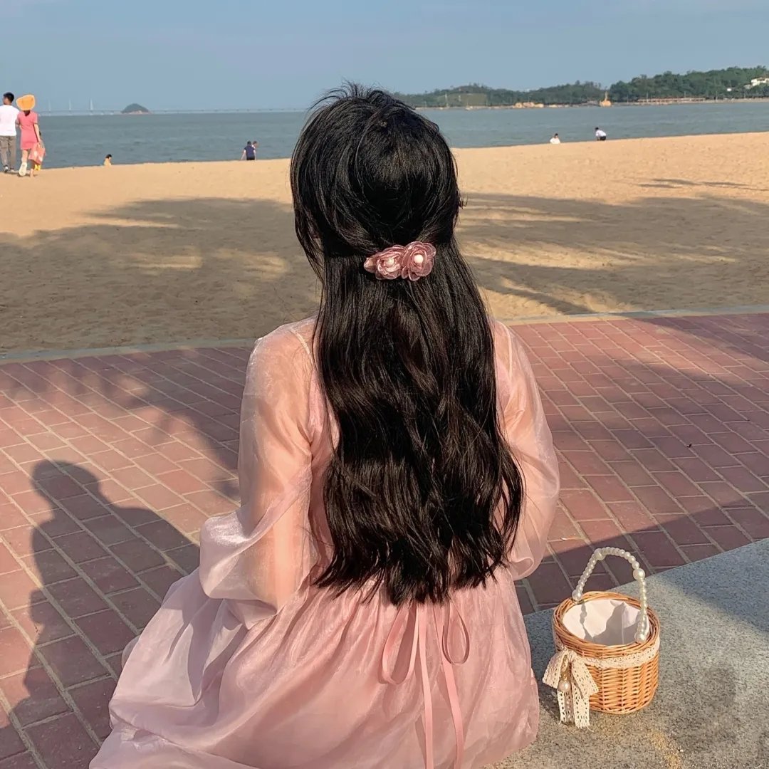随风追寻